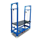Foldable Mobile CE Scaffold Lift Cargo Ladder 1.5-3m