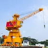 Shipyard PLC Floating Dock Crane Marine Crane Lifting Capacity 5t~40t
