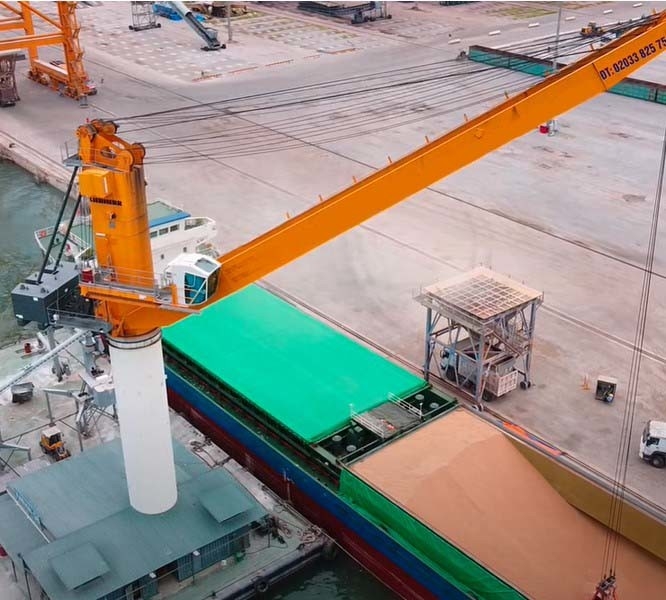 6.0m Span Shipyard Port Cranes 2 Links Design Fixed Base Floating Dock Crane